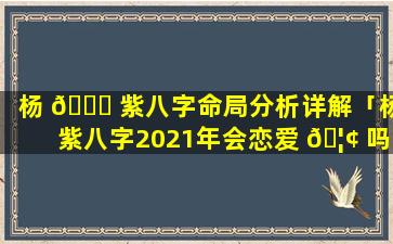 杨 🍁 紫八字命局分析详解「杨紫八字2021年会恋爱 🦢 吗」